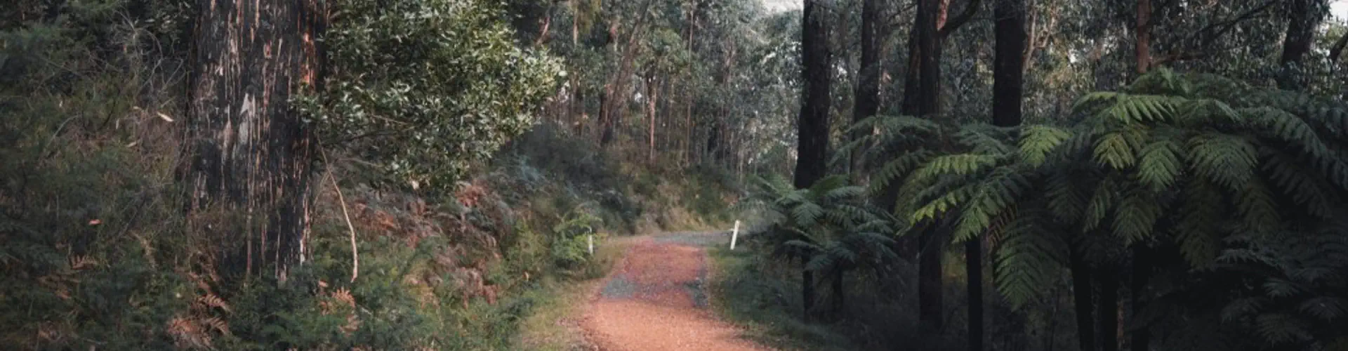 YACKANDANDAH TO BEECHWORTH 64kms Return