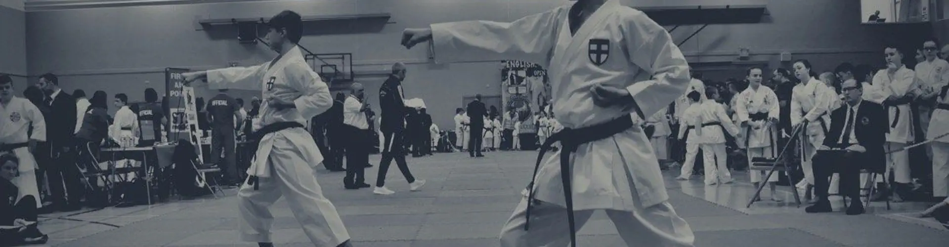 Seishin-do Shukokai Karate