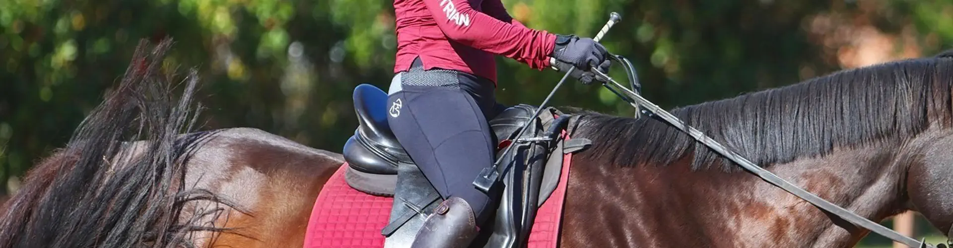 MC Equestrian Riding School