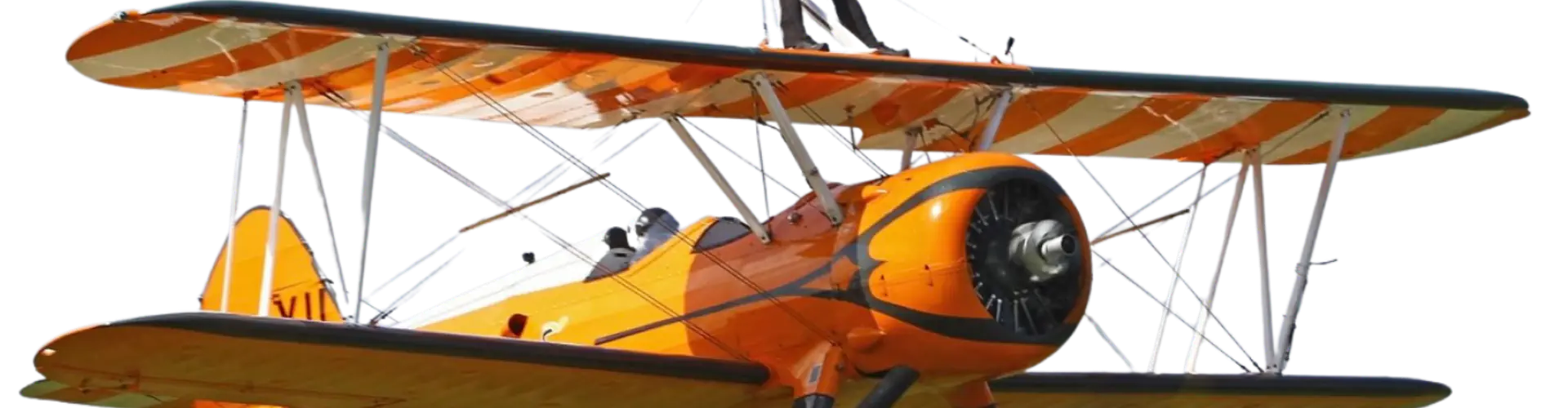Skydive Buzz