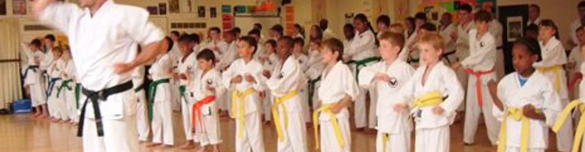 Kenshukai Karate Class - Poplar
