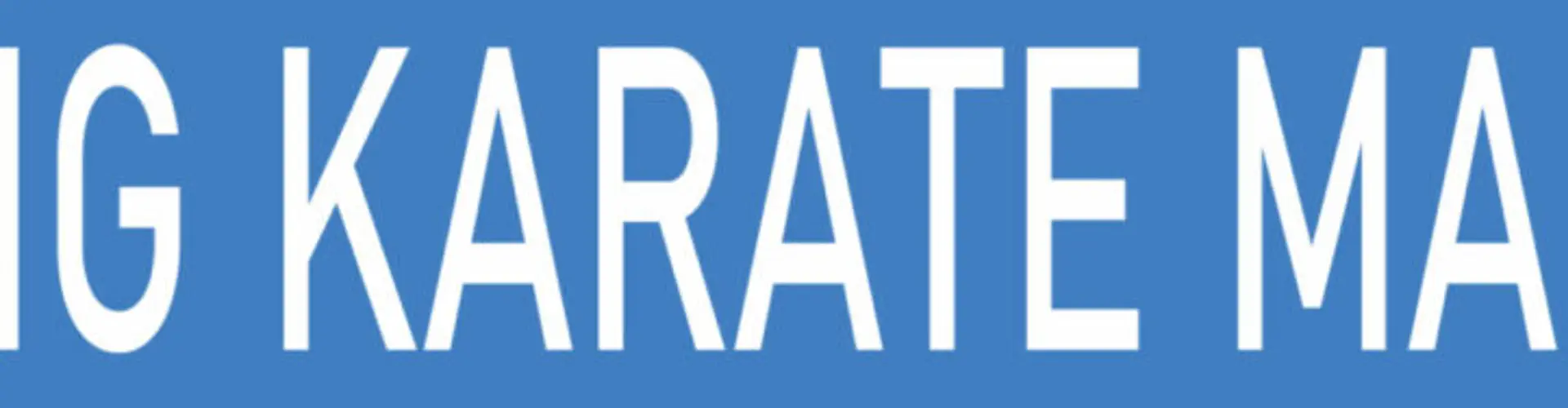 Sporting Karate Marseille
