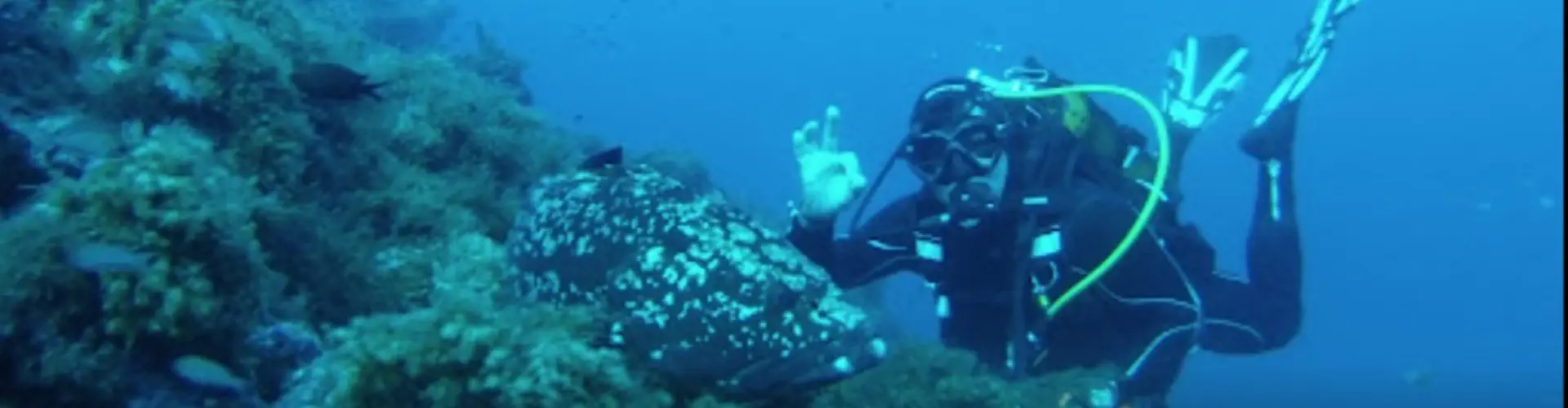Ecole de plongée subaquatique Le Coelacanthe