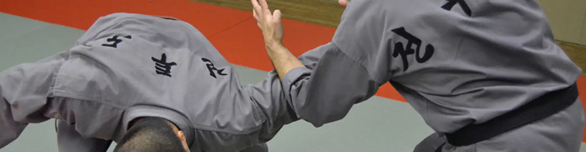 Hapkido Traditionnel (AFHT)