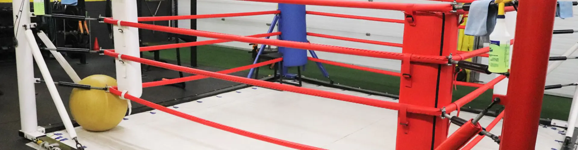 OBFT: Oakville Boxing & Functional Training