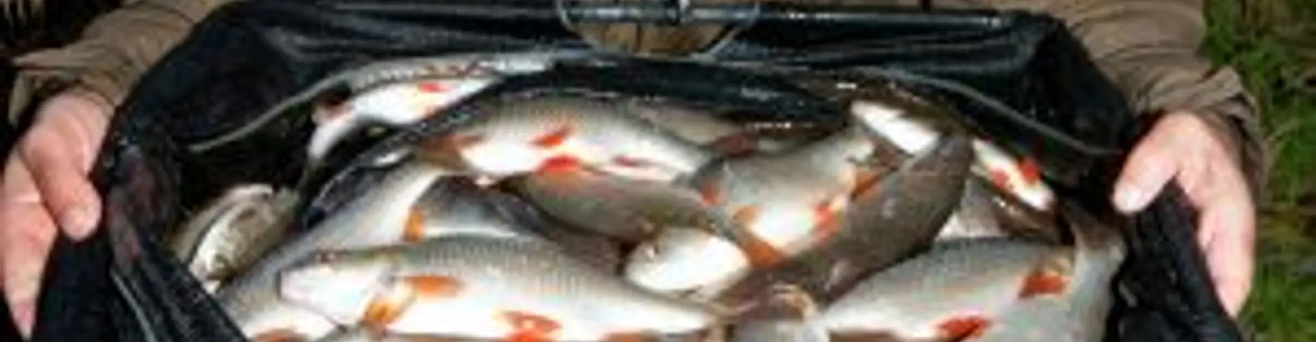 Messingham Sands Fishery