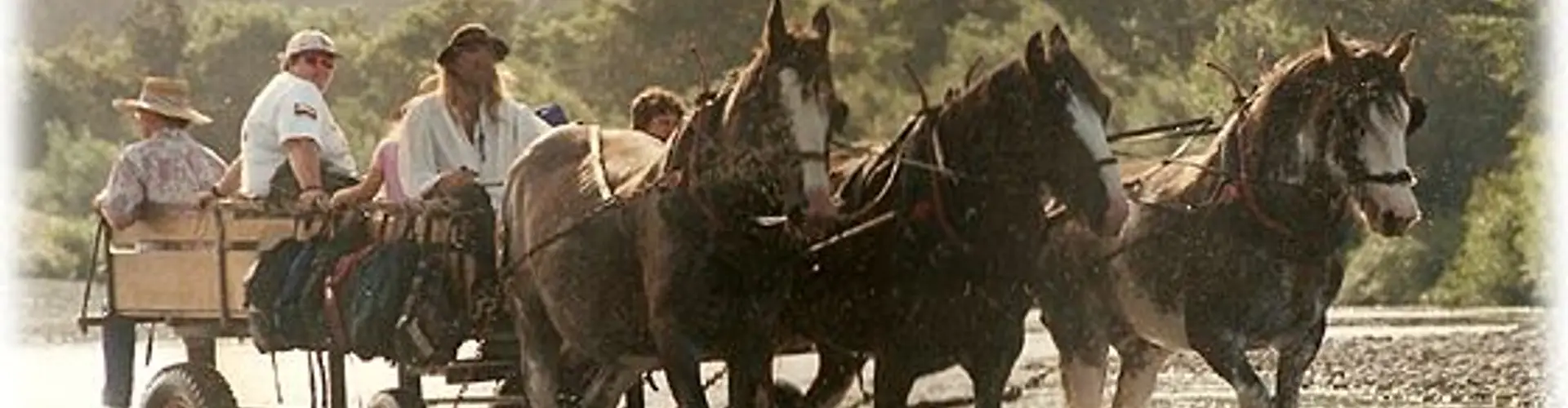 Clydesdale Horse Drawn Wagons