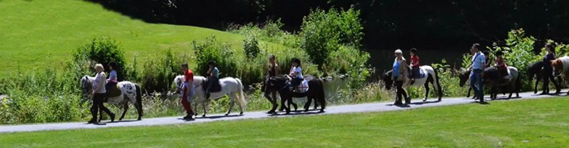 PONEY CLUB DE VILLENEUVE D ASCQ