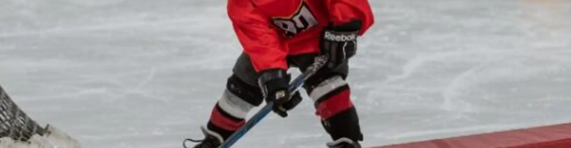 P3 Sports Inc.