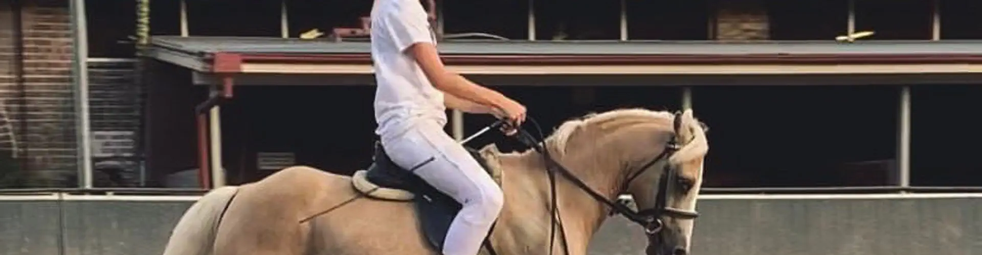 Showgrounds Riding School