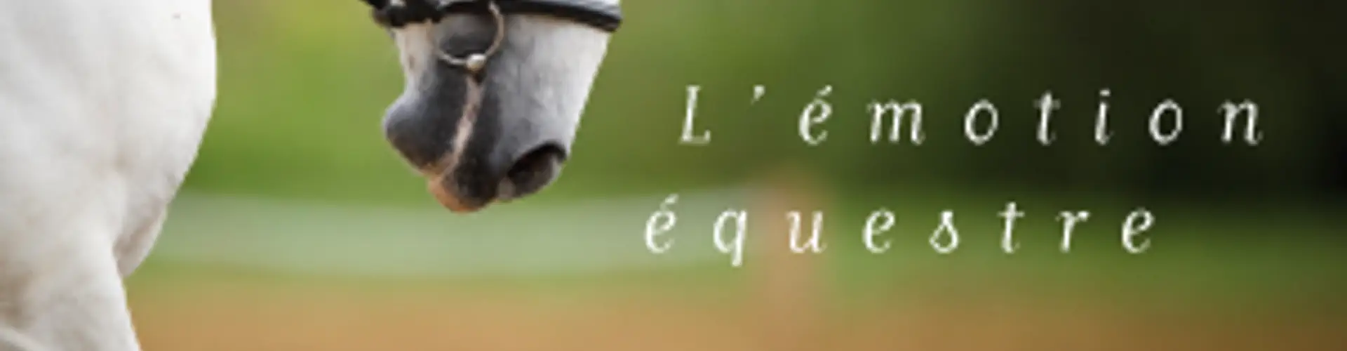 Stables Des Dalennes