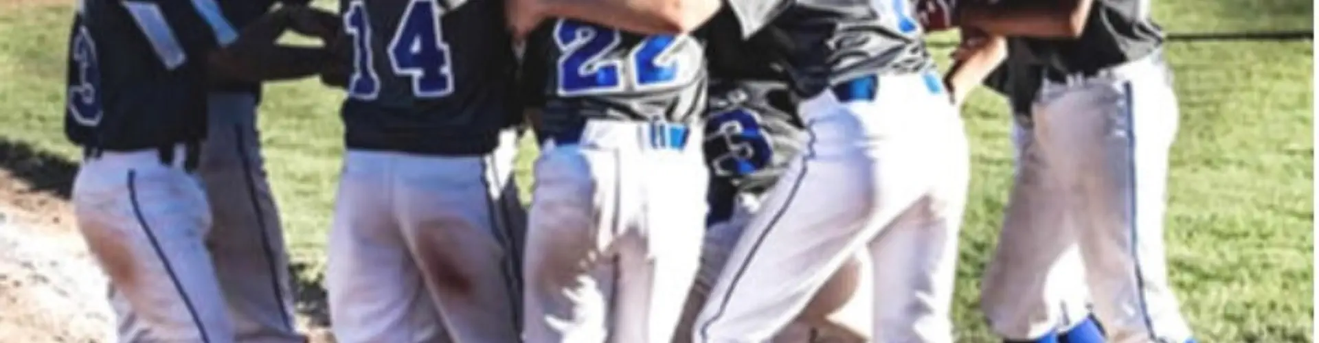 Mississauga North House League Baseball
