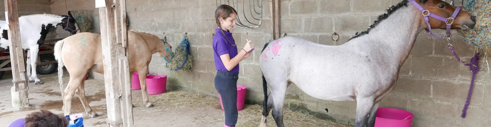 Foxglove Farm Childrens Riding Holidays Ltd