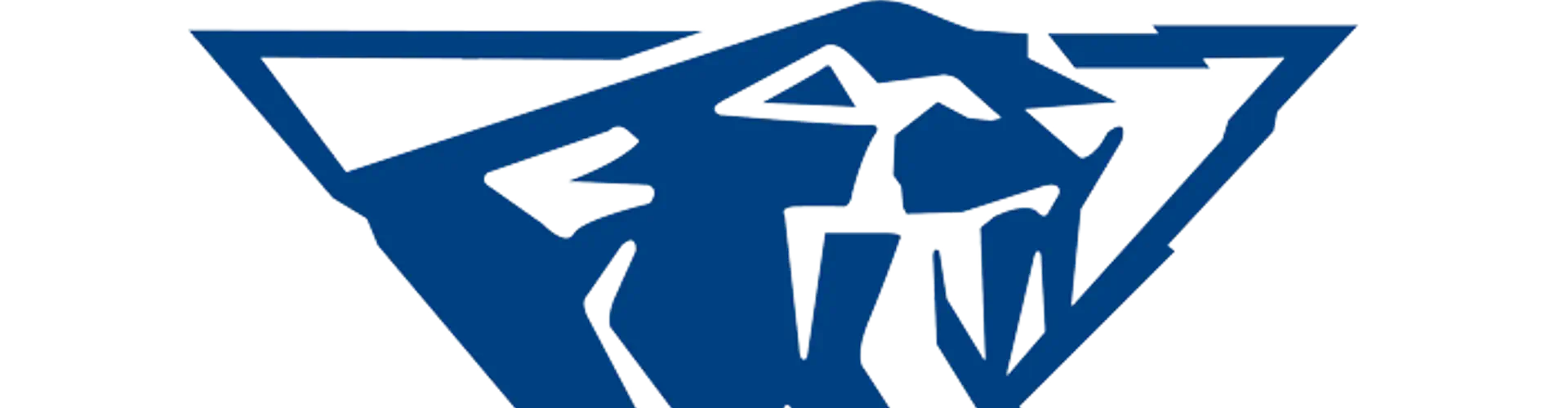 Auskick (PP-Y2) Junior & Youth (Y3-Y12) Expression Of Interest to Coach 2024