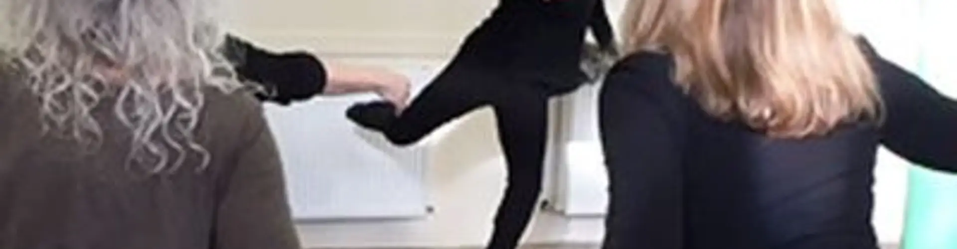 Adult Ballet ONLINE