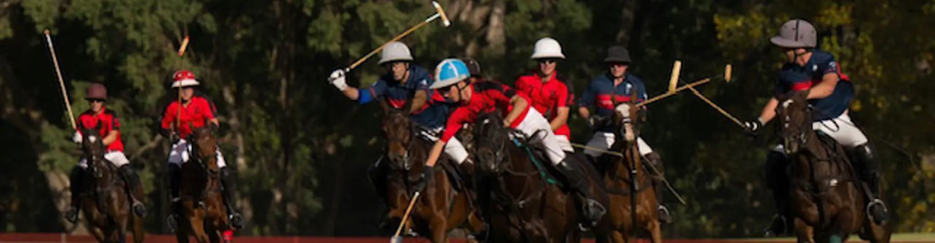 La Dolfina Cup