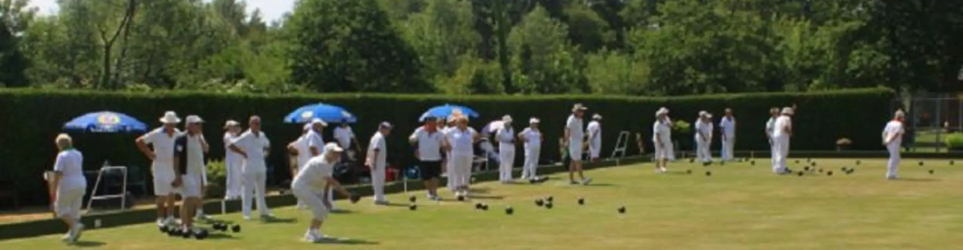 Hyde Abbey Bowls