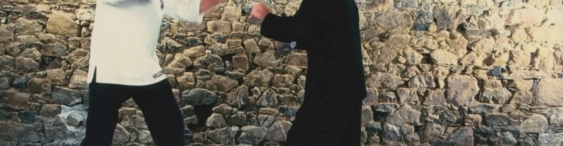 Anyda : Tai Chi Qi Gong Kung-Fu Lutte Chinoise