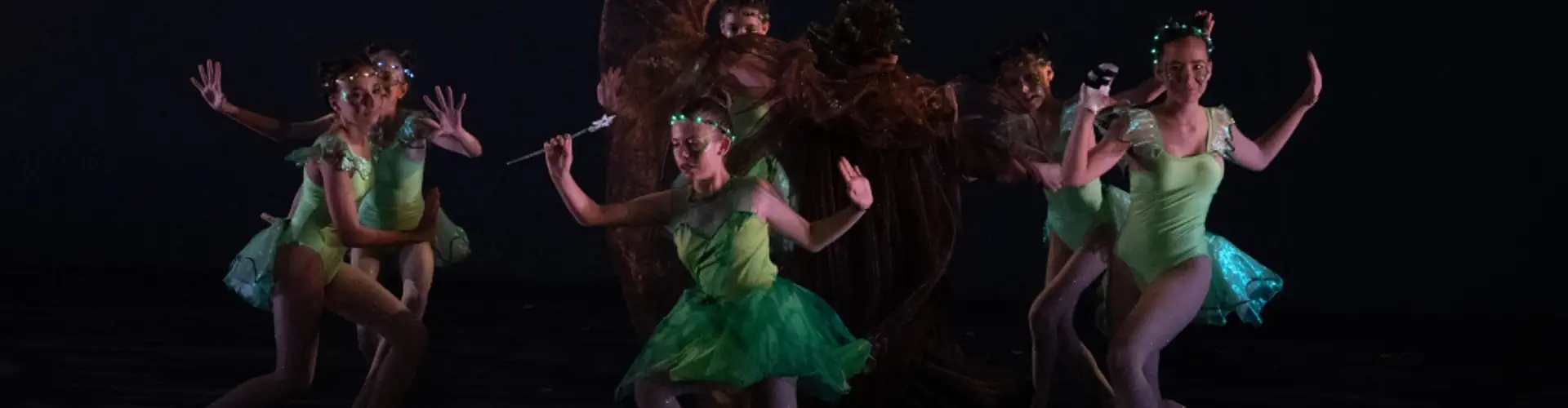 Ideale' Danse