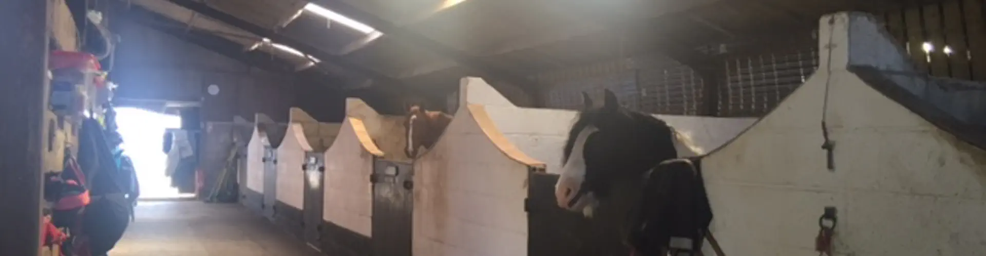 Lee Bank Farm & Livery