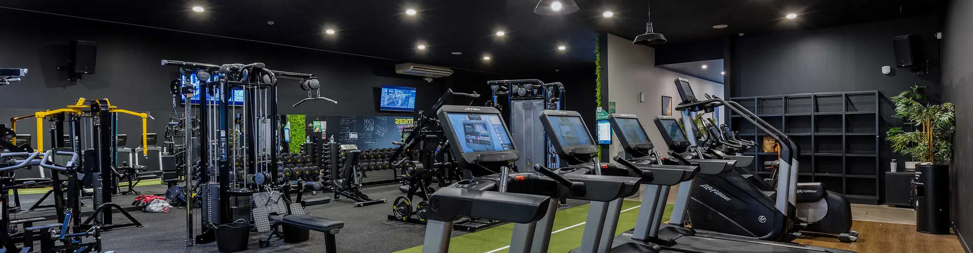 Flex Fitness Masterton