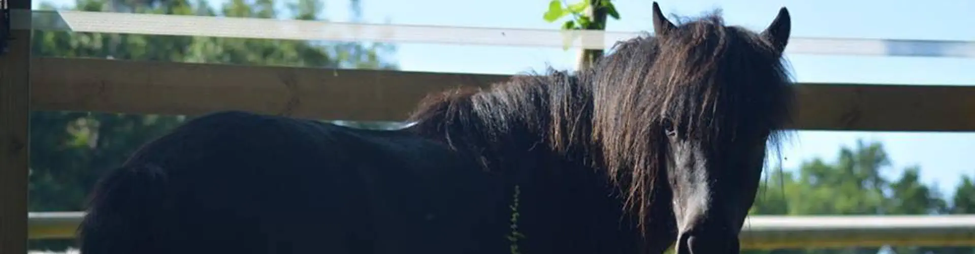 Equestrian Center De La Burthe