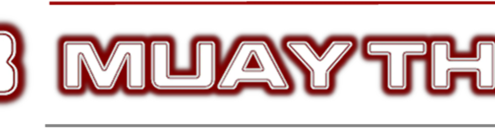 CAMP 313 Muay Thai