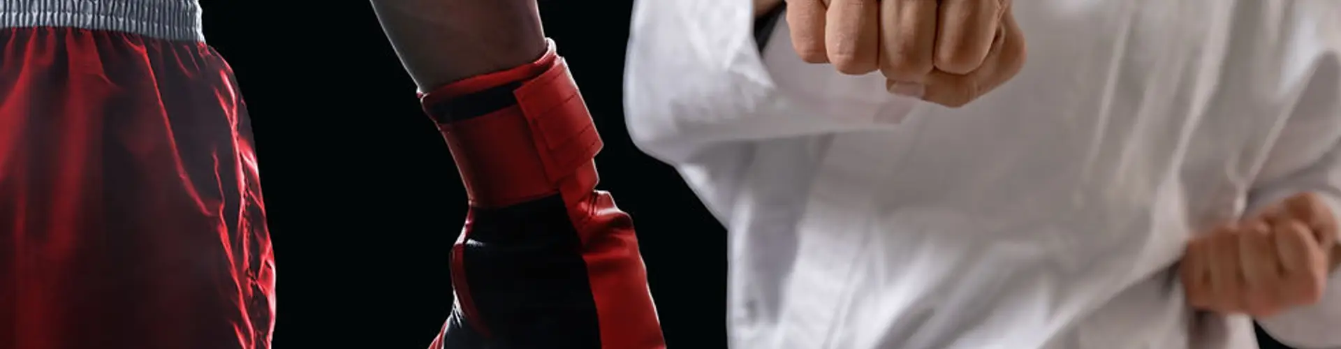 KARATE ETIOLLES TIGERY