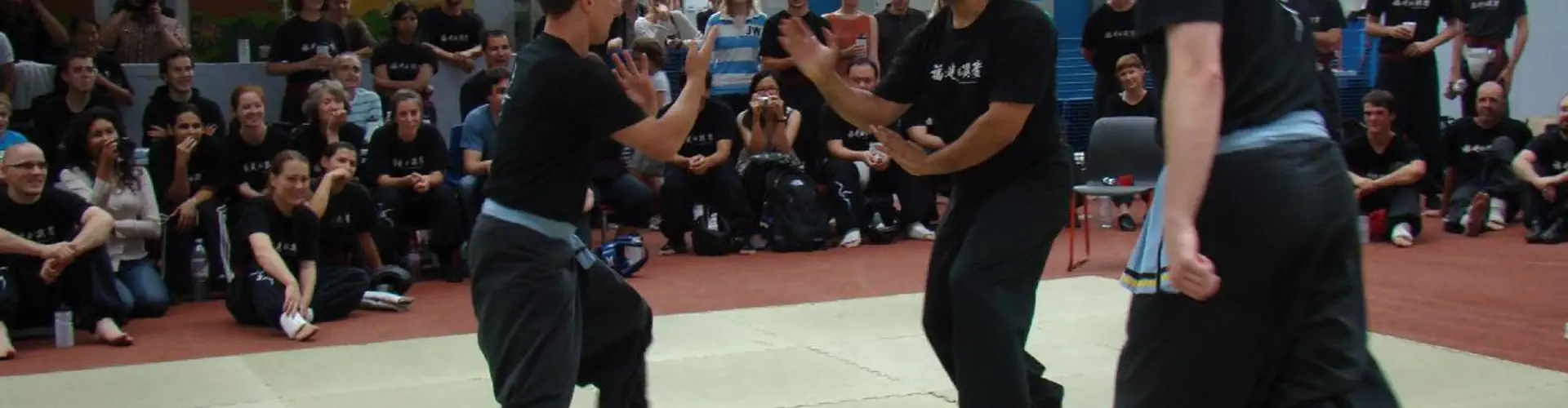 Fujian White Crane Kung Fu & Tai Chi Winchester