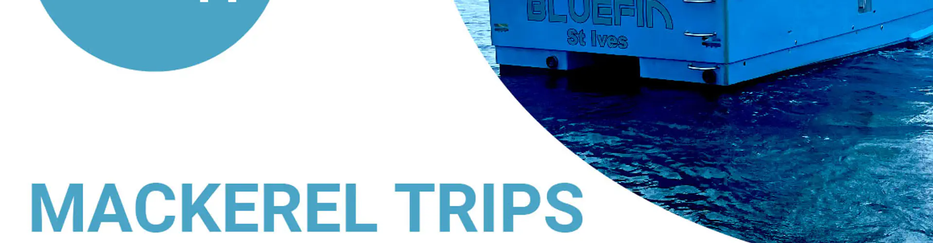 Bluefin Charters Deep sea Mackerel Fishing & Sea Safaris