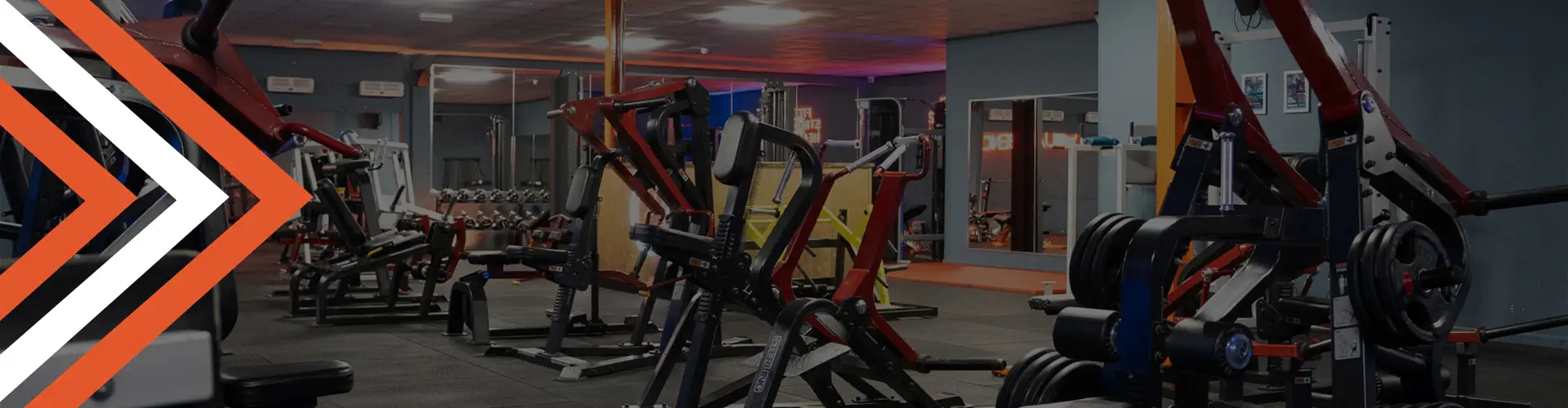 Optimus Gym Chichester