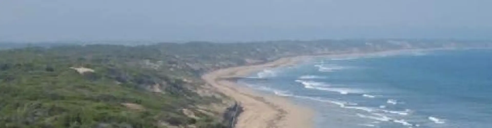 Ocean Grove Bridge Club