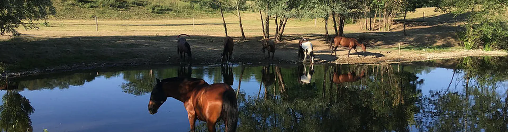 Equestrian Field De Margnat