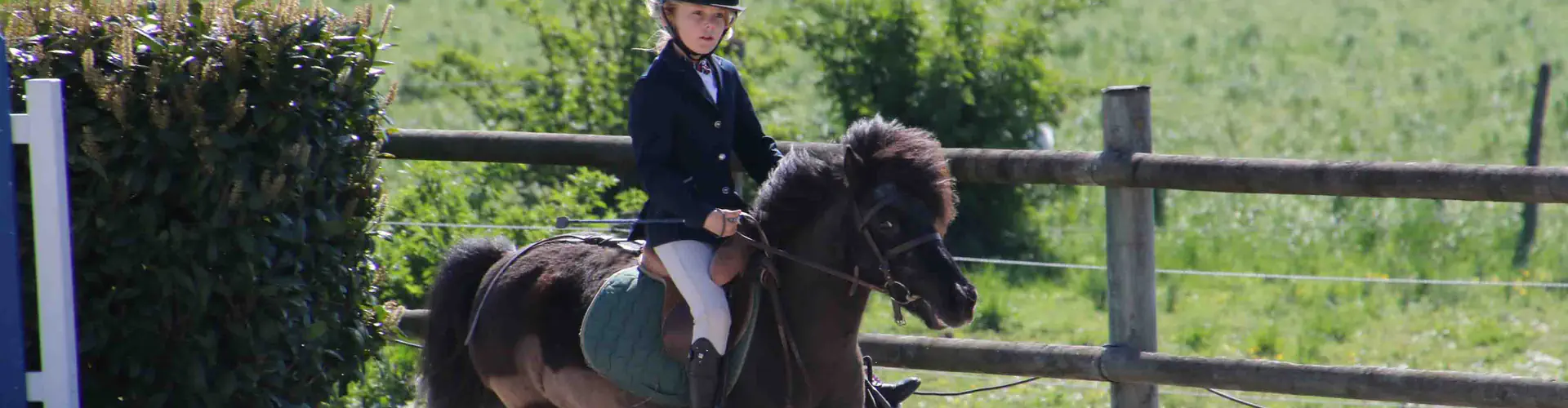 Montgeron Equitation