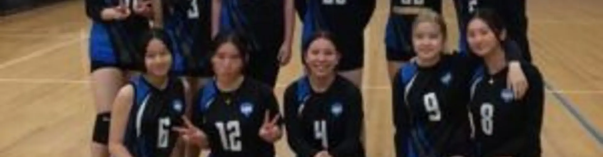 Western Region Volleyball