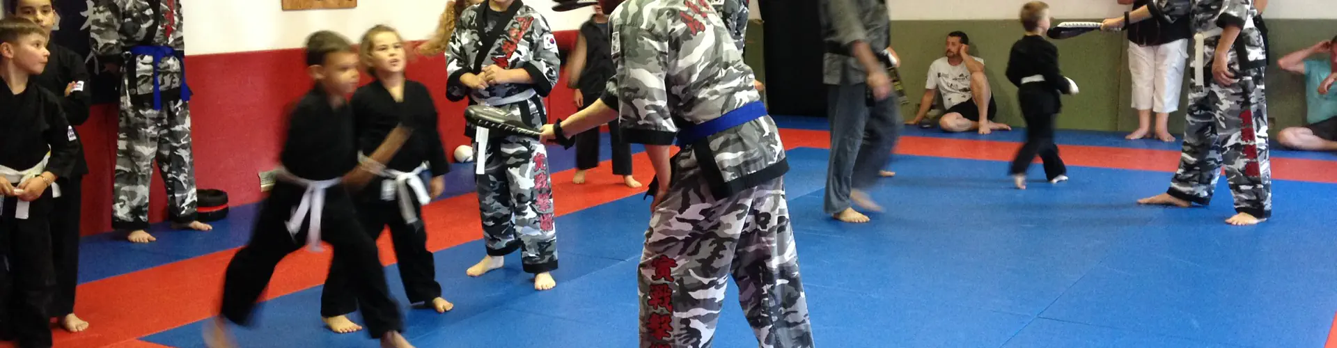 Kyeok Sul Do Martial Arts Mixtes Coréens