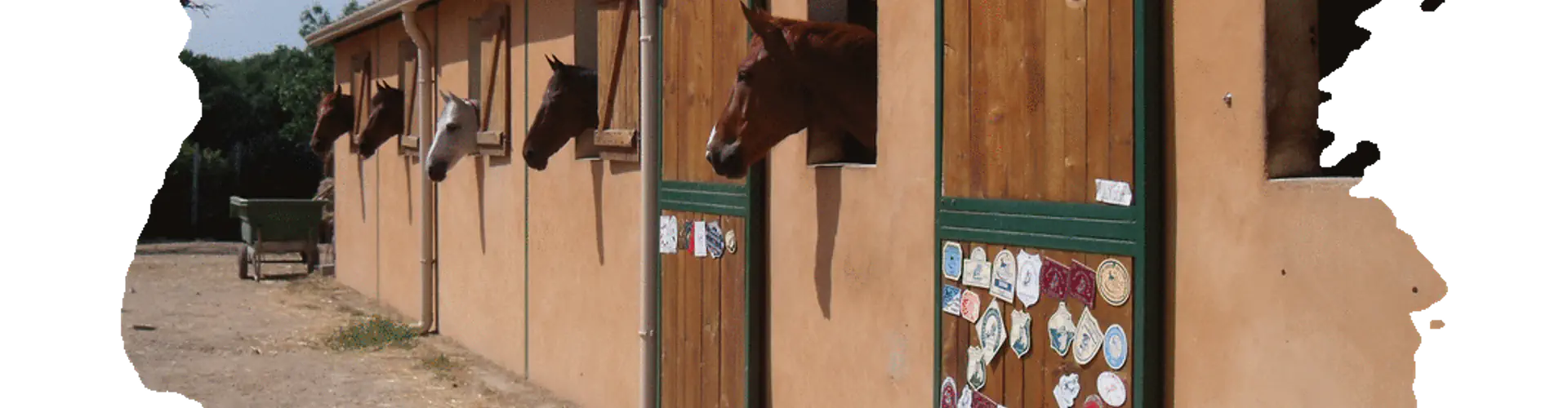 CLUB HIPPIQUE DU PORTAIL VERT