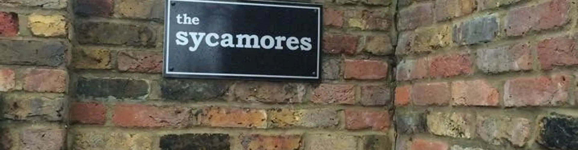 The Sycamores Swim School