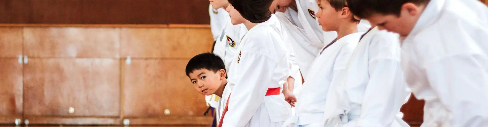 Shotokan Karate Hawkes Bay