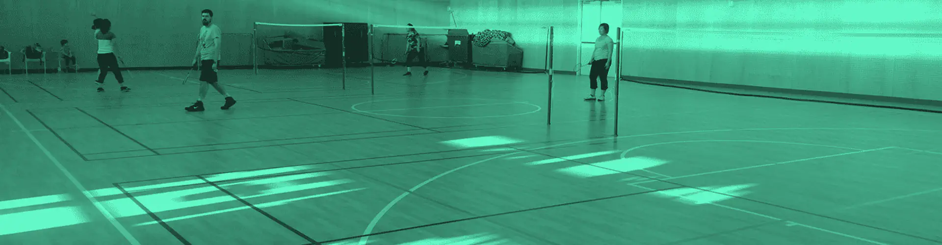 Lac Viet Badminton Group