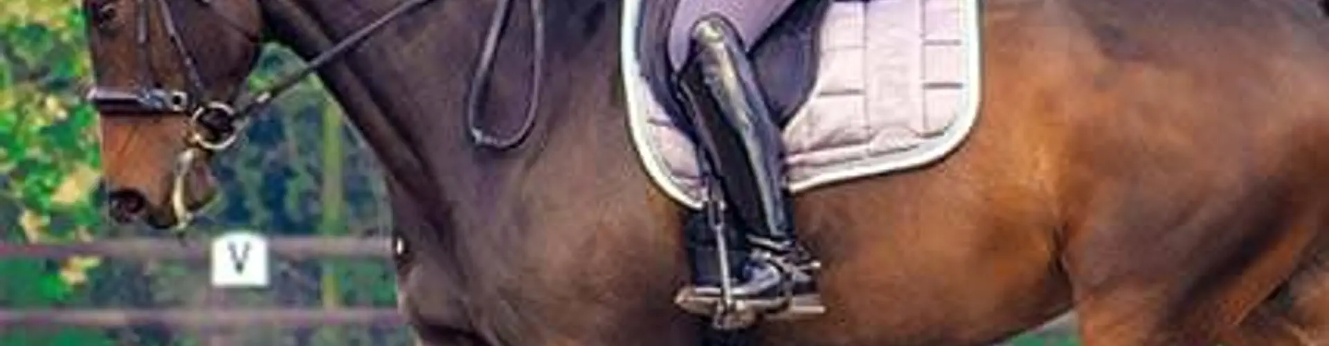 Pickering Grange Equestrian