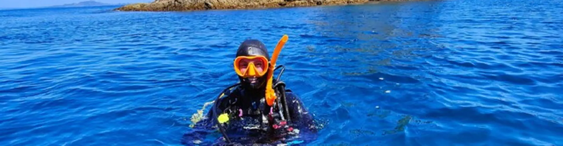Dive Zone Bay of Islands
