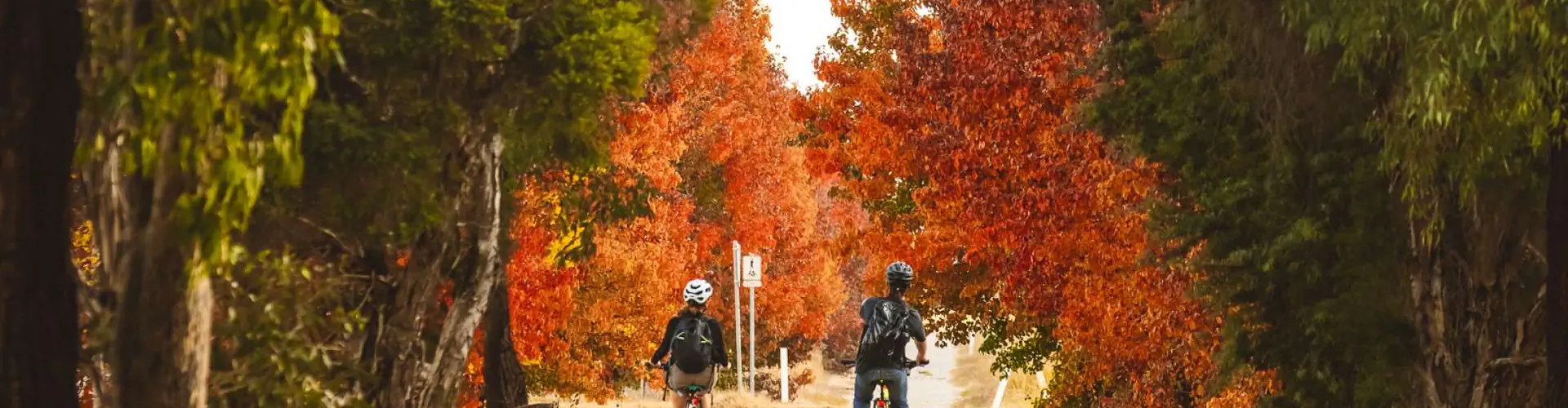 Mitchell Avenue Pump Track