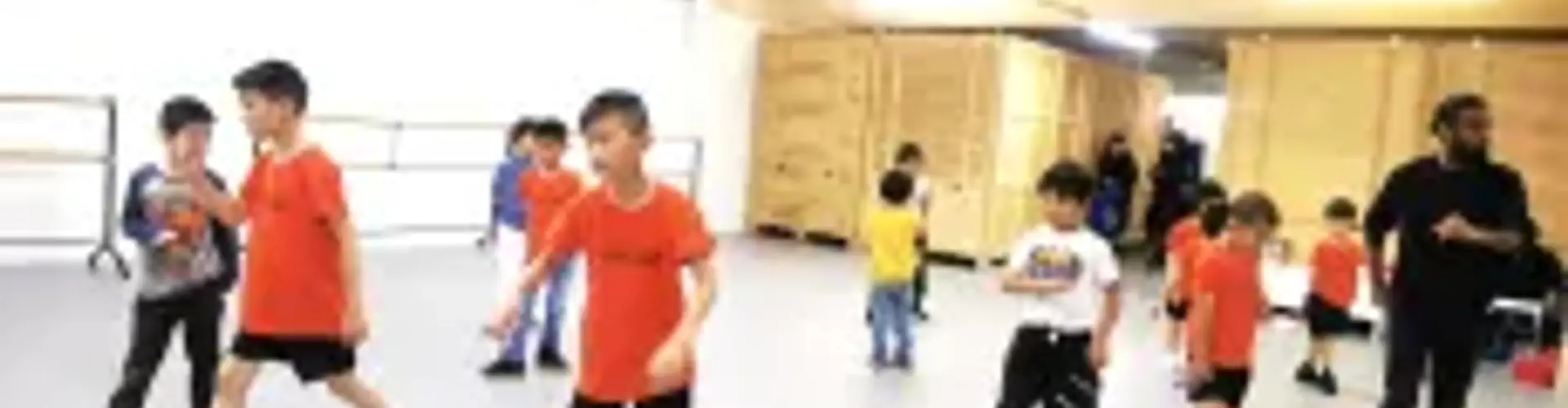 Manchester Chinese Academy of Dance