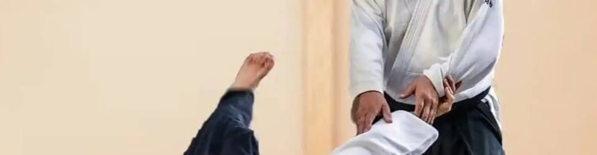 Dojo Regional Martial Arts