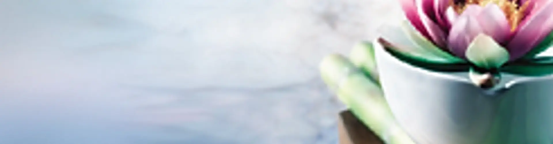 Jenny's Yoga and Pilates