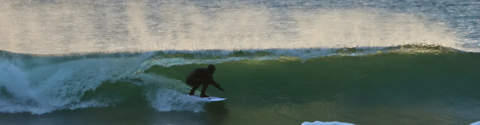Relic Surf Shop and Surf School