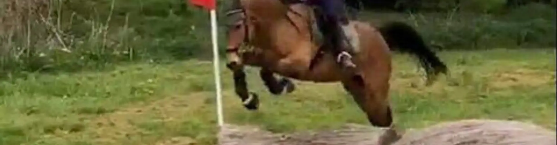 Poplars Farm Cross Country