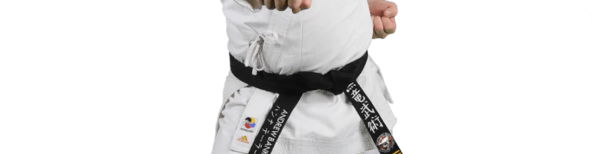 Koku-Ryu Martial Arts