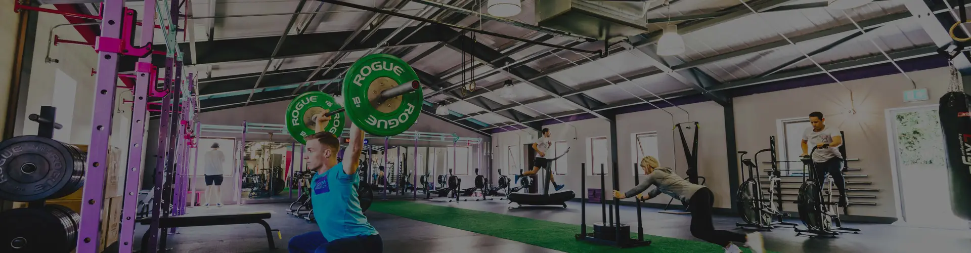 The Gym Project